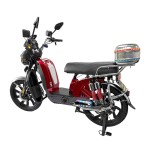 Bilin King, Golden Ox Head Lamp, Front and Rear Oil Dishes, Rear Electroplated Dual Reduction, Metal Trunk, Fully Equipped Ambient Lighting
